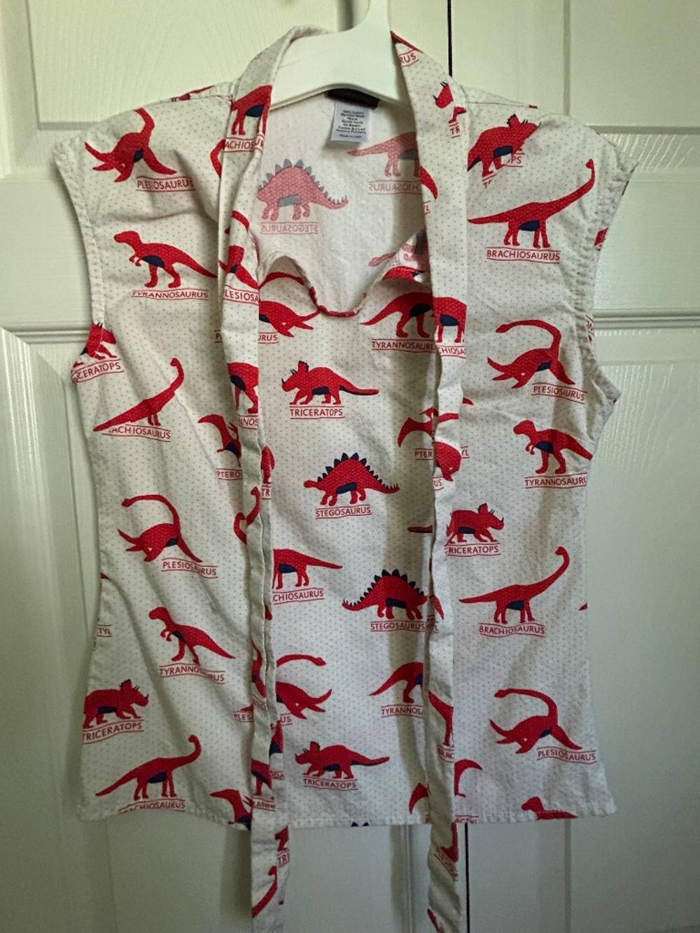 Fun dinosaur print shirt